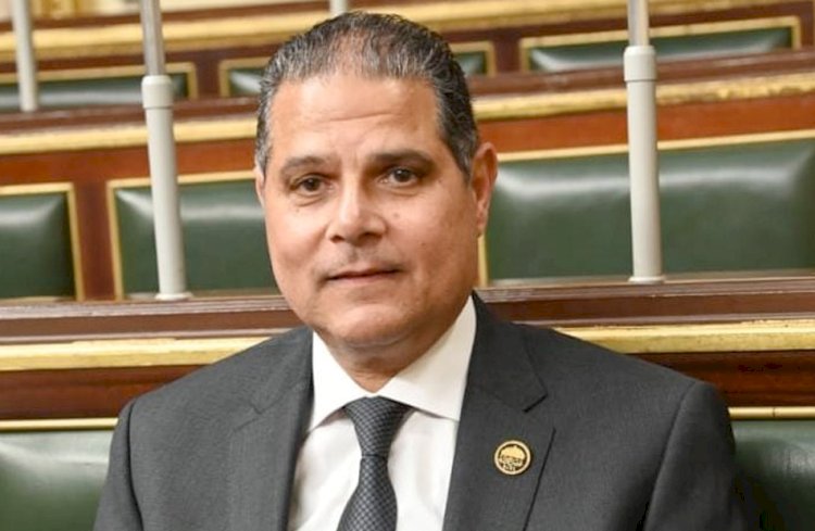 نائب يطالب بخطة عاجلة لإنقاذ المصانع المهددة بالتعثر بسبب الأوضاع الاقتصادية