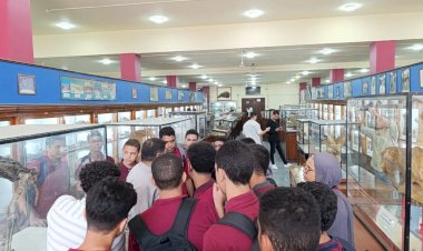 تطوير التعليم بالوزراء: زيارة تعليمية لطلاب معهد الكوزن المصري الياباني إلى المتحف الجيولوجي المصري