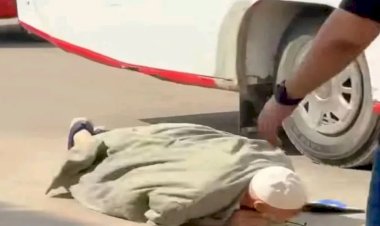 سقوط المسن.. إخلاء سبيل سائق ومحصل أتوبيس الدقهلية على ذمه التحقيقات