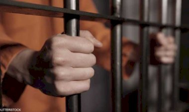 المؤبد لـ 4 متهمين بينهم أب ونجليه لإتجارهم بالمخدرات وحيازة أسلحة بالقليوبية