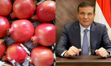 وزير الزراعة يعلن رسميًا فتح السوق الفنزويلي أمام صادرات مصر من الرمان الطازج