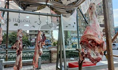 أسعار اللحوم في مصر اليوم الاربعاء