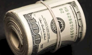 أسعار الدولار في مصر اليوم الجمعة