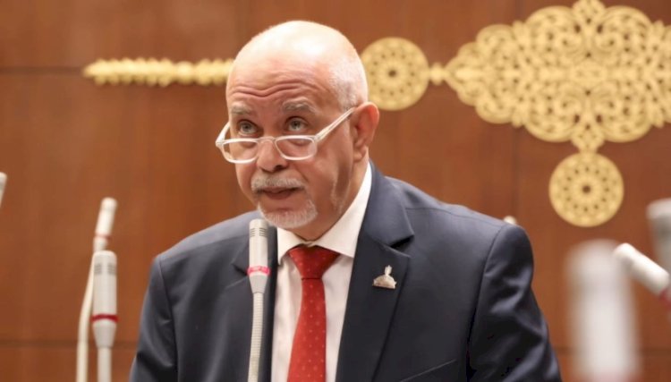 حازم الجندى: الرئيس يعيد تعريف إفريقيا كقوة فاعلة فى تشكيل النظام العالمى الجديد