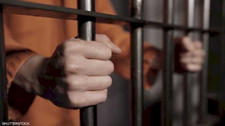 المؤبد لـ 4 متهمين بينهم أب ونجليه لإتجارهم بالمخدرات وحيازة أسلحة بالقليوبية