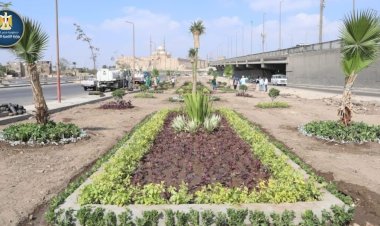 وزيرة التنمية المحلية تعلن انطلاق المرحلة الرابعة من المبادرة الرئاسية "100 مليون شجرة" بمحافظة الفيوم