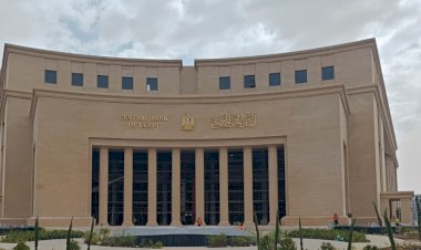 البنك المركزي المصري يُصدر تقرير الاستقرار المالي مارس 2025