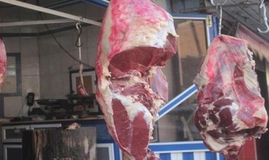 أسعار اللحوم في مصر اليوم السبت