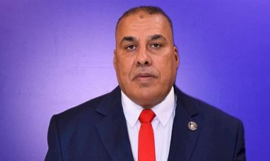 برلمانى: مشاركة المصريين الكبيرة بالخارج رسالة وطنية وصورة مشرفة أمام العالم