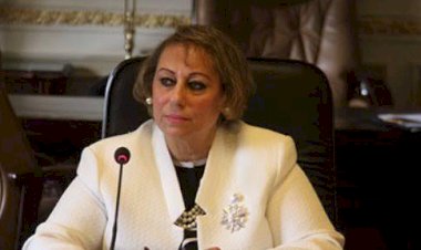 برلمانية: طرح فرص استثمارية استثنائية يعزز التنمية المستدامة