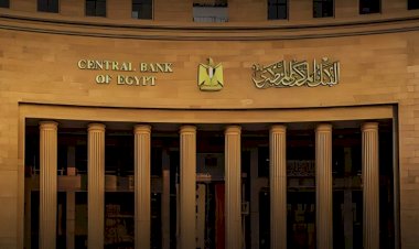 30.2 مليار دولار تحويلات المصريين العاملين بالخارج خلال 9 أشهر