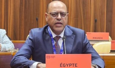 وزير العمل يشارك في اجتماعات مجلس إدارة منظمة العمل الدولية في جنيف