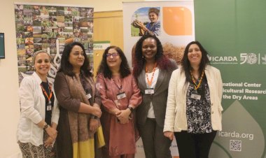 خبراء المجموعة الاستشارية للمساواة بين الجنسين تضع أجندة مشتركة لأنظمة الغذاء في الشرق الأوسط وشمال افريقيا 