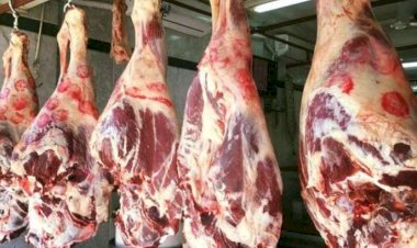 أسعار اللحوم في مصر اليوم الخميس