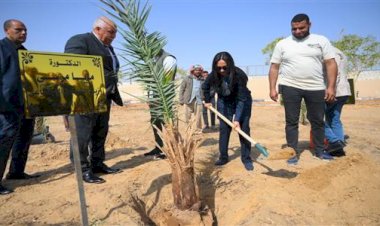 وزيرة التضامن تغرس نخلة في حديقة 30 يونيو بالوادي الجديد