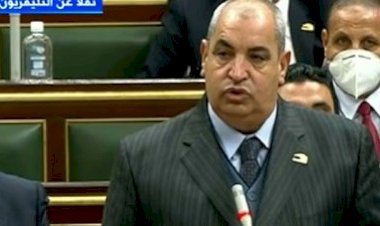 برلماني: منح حوافز للقطاع الخاص ضرورة لدعم التحول نحو الاقتصاد الأخضر