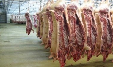 أسعار اللحوم في مصر اليوم الثلاثاء