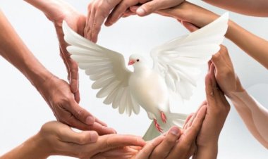 الرد الإيجابي على الإساءة.. كيف نحافظ على هدوئنا ونطبق العدل؟