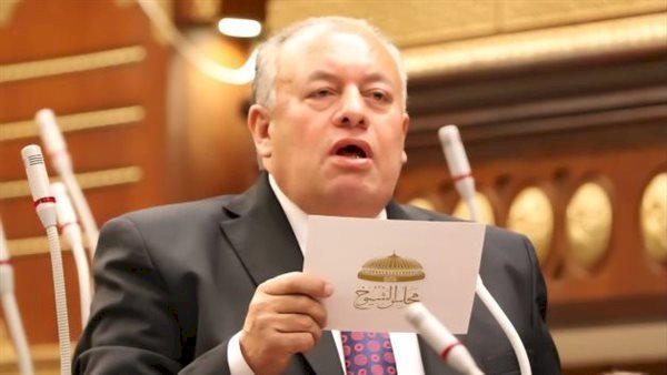 أمين الشئون الدستورية بالشيوخ : مصر ثابتة على موقفها التاريخي في دعم القضية الفلسطينية وتحقيق السلام العادل