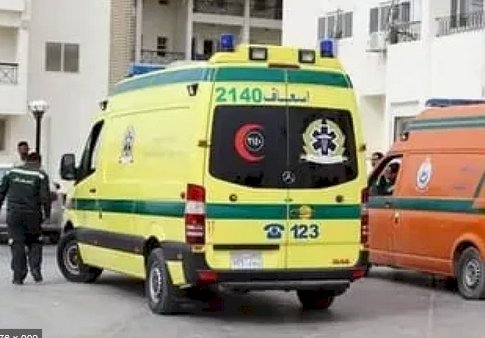 أسماء ضحايا حادث انقلاب سيارة ميكروباص بالطريق الصحراوي الغربي بأسيوط