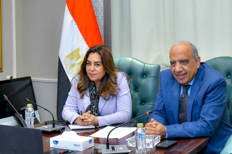 وزيرا الكهرباء والتنمية يبحثان التنسيق والعمل المشترك والتعاون في قضايا البيئة والطاقات المتجددة