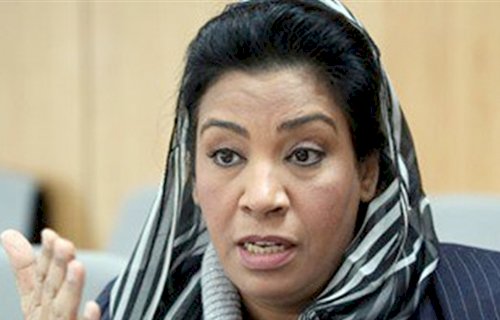 النائبة نشوى الديب، عضو لجنة الطاقة والبيئة بمجلس النواب