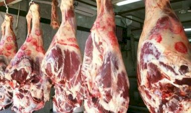 أسعار اللحوم في مصر اليوم الاربعاء