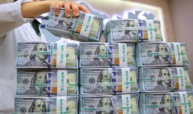 ضبط قضايا إتجار فى العملات الأجنبية بقيمة تتجاوز 4 ملايين جنيه خلال 24 ساعة