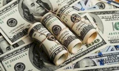 أسعار الدولار في مصر اليوم الأحد   