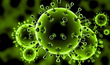 وزير الصحة يكشف أنواع الفيروسات التنفسية الأكثر انتشارا