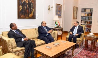 وزير الخارجية يلتقي نظيره التنزاني