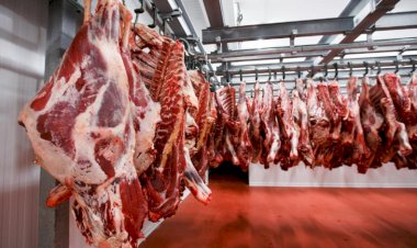 أسعار اللحوم في مصر اليوم السبت