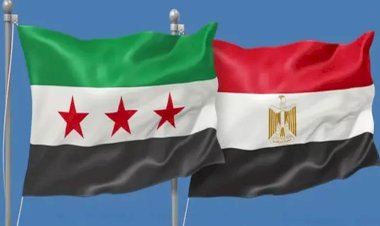 مصر تدعو إلى خفض التصعيد في سوريا وتغليب مسارات التهدئة والحوار