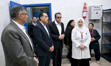 رئيس الوزراء يتفقد وحدة طب الأسرة بقرية "الودي"