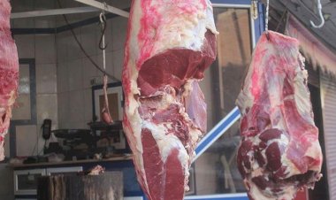 أسعار اللحوم في مصر اليوم الجمعة