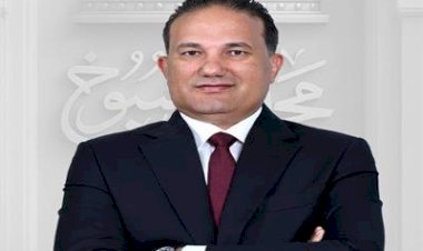 برلماني: جهود الحكومة لدعم ريادة الأعمال يعزز التنمية المستدامة لصالح الاقتصاد الوطني