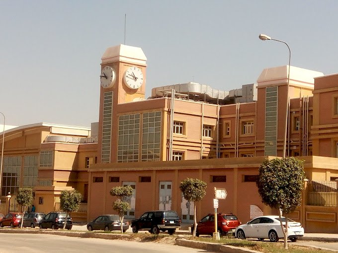 التعليم: لجنة جديدة تدير مدارس النيل تحت إشراف الوزارة للمتابعة الدقيقة