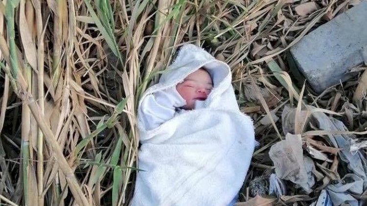 العثور على جثة رضيع ملقاة بجوار كوبري في قنا