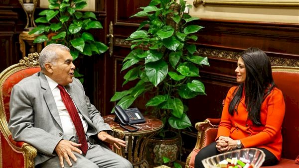 وزيرة التخطيط الدولي تلتقي رئيس مجلس الشيوخ