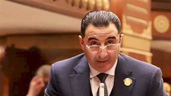 برلمانية المؤتمر بالشيوخ: الهيئة الوطنية للانتخابات قدمت نموذجًا مشرفًا 