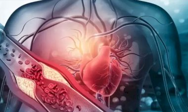 حسام موافي: النهجان أحد أعراض هبوط الجهة اليسرى من القلب