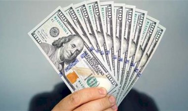 أسعار الدولار في مصر اليوم السبت