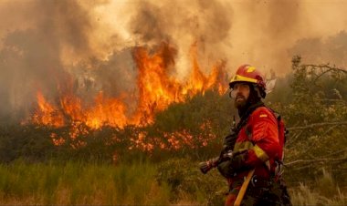 الحرائق تقتـ.ل 12 شخصا في إسبانيا خلال عطلة عيد الميلاد