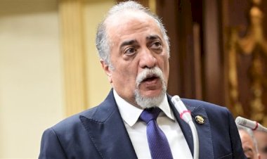 مستقبل وطن: ننتقل من الفوز الانتخابي إلى العمل البرلماني الجاد