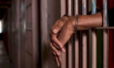 السجن المؤبد لعصابة الدباح بعد ضبطهم بحوزتهم مخدرات بـ230 مليون جنيه وجرينوف