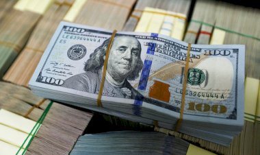 أسعار الدولار في مصر اليوم الاربعاء