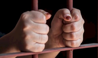 تجديد حبس سيدة متهمة بمحاولة تهريب مواد مخدرة عبر مطار القاهرة 15 يوما