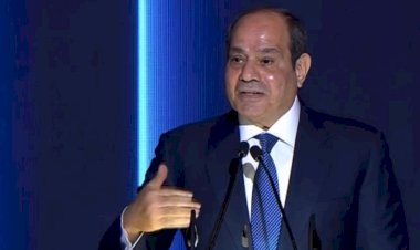 برلمانية : كلمة الرئيس بالأكاديمية العسكرية رسمت استراتيجية تعزيز الاستقرار الإقليمى