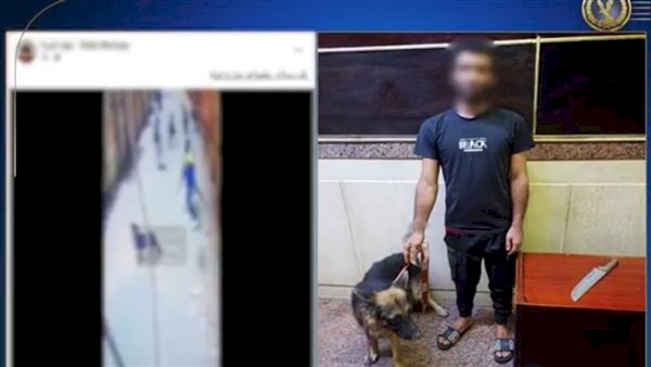 الداخلية تكشف ملابسات فيديو الاعتداء على كلب بأحد شوارع الجيزة وتضبط المتهم