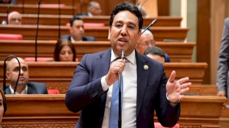 أيمن محسب: تعافى الملاحة بقناة السويس رسالة ثقة للأسواق العالمية